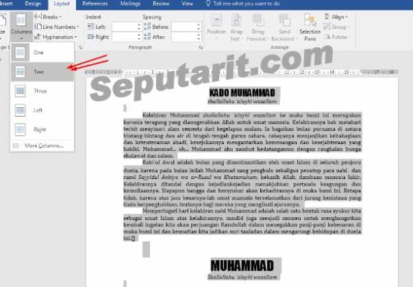 Ini Dia Cara Membuat Kolom Di Microsoft Word Seputar Ilmu Teknologi 5731